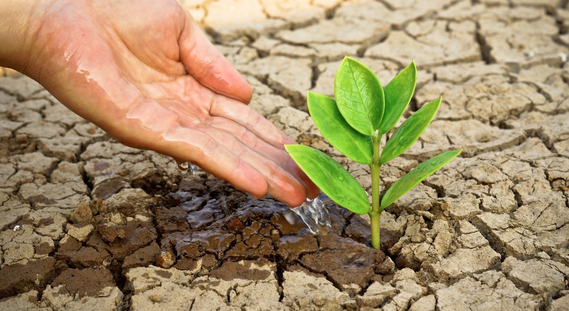 oliviergantois's tweet photo. The @WorldBank estimates that adopting efficient water management practices could reduce water demand by 22%, promoting sustainable water use for both agriculture and industries. π§πΎ #WaterManagement #Sustainability #ImTreeNation https://t.co/uYrAjQf8DH