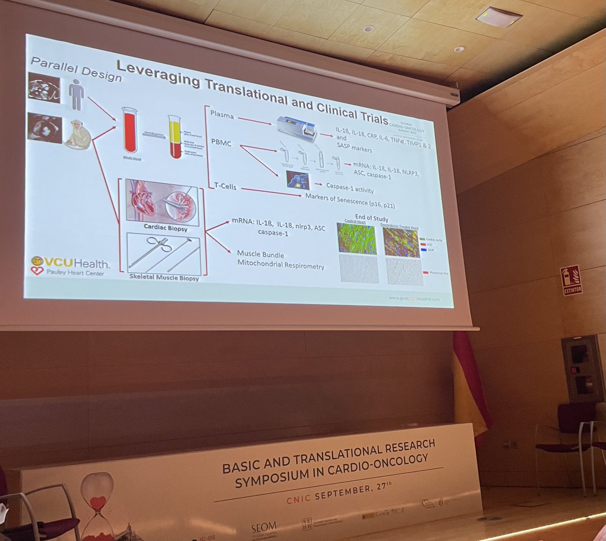 Giselle C. Melendez (@gmelendezmd) on Twitter photo What’s the theme at #GCOS2023 translational science! This is the study design of our #AHA #SFRN <a href="/wakeforestmed/">Wake Forest University School of Medicine</a> <a href="/VCUHealthHeart/">VCU Health Pauley Heart Center</a> <a href="/SALLOUMFN/">Fadi N Salloum</a> What’s the theme at #GCOS2023 translational science! This is the study design of our #AHA #SFRN <a href="/wakeforestmed/">Wake Forest University School of Medicine</a> <a href="/VCUHealthHeart/">VCU Health Pauley Heart Center</a> <a href="/SALLOUMFN/">Fadi N Salloum</a>