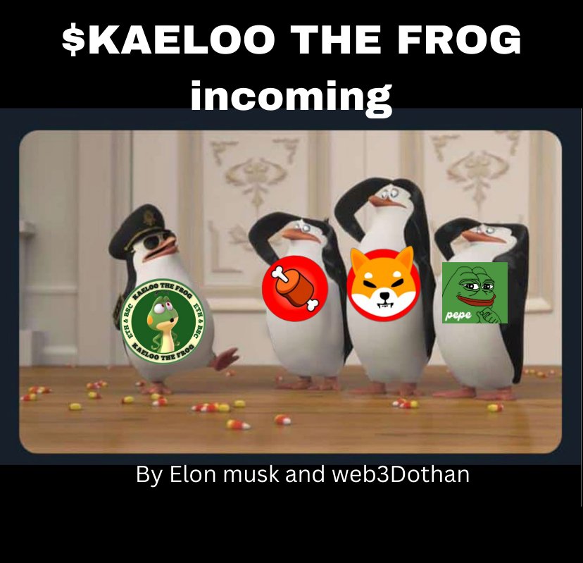 web3dothan's tweet photo. 1st crypto project in history to launch 1 project on 2 blockchains at the same time Kaeloo ETH & Kaeloo BSC are here to change the game.

Website : https://t.co/XB9gwQPpvO 
Telegram : https://t.co/Axhg4oSwnz
Twitter : @kaeloobsc 

#Giveaway #MOONSHOT #BNB    #ETH #MemeCoin #Kaeloocoin 
Gm friends
@Bdigital17 @ConsistentJoe @jk_7_jk