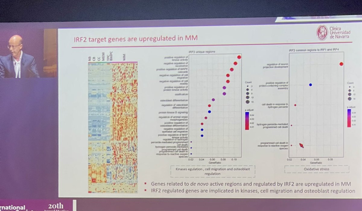 Rfonsi1's tweet photo. @FelipeProsper describing Epigenomics changes in myeloma. IRF2 as essential for MM survival (increased in MM). Target genes of IRF2 are unregulated- even in precursor states. Associated with shorter OS.
#IMS23RF #mmsm https://t.co/y5vDUczTyl