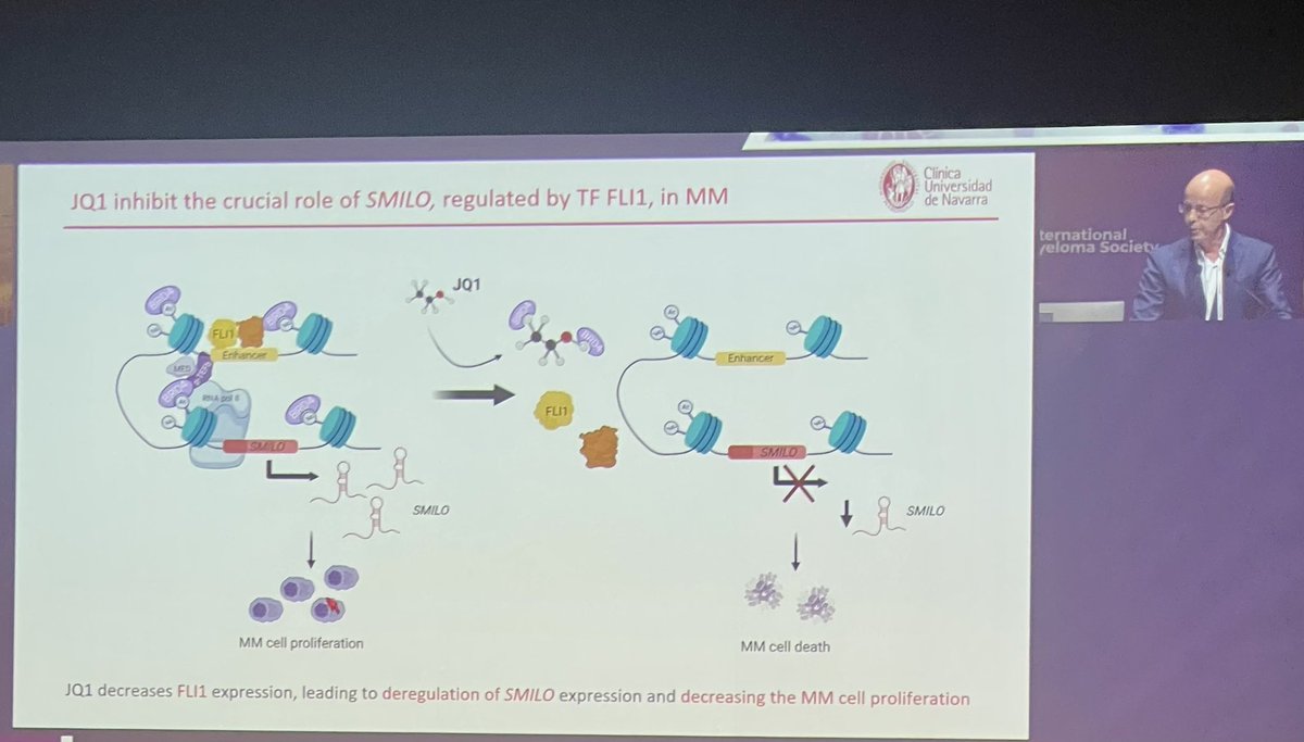 Rfonsi1's tweet photo. @FelipeProsper describing Epigenomics changes in myeloma. IRF2 as essential for MM survival (increased in MM). Target genes of IRF2 are unregulated- even in precursor states. Associated with shorter OS.
#IMS23RF #mmsm https://t.co/y5vDUczTyl