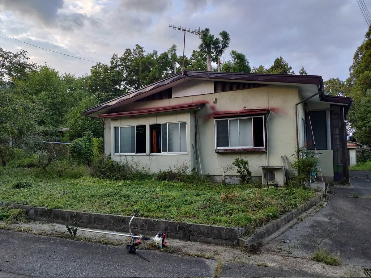 star_1420's tweet photo. やっっっと家の草刈りした

よく見たら猫さんが住み着いてるし
刈った翌���にクロッカスが咲いた🌷 https://t.co/gMSA2FhkQX