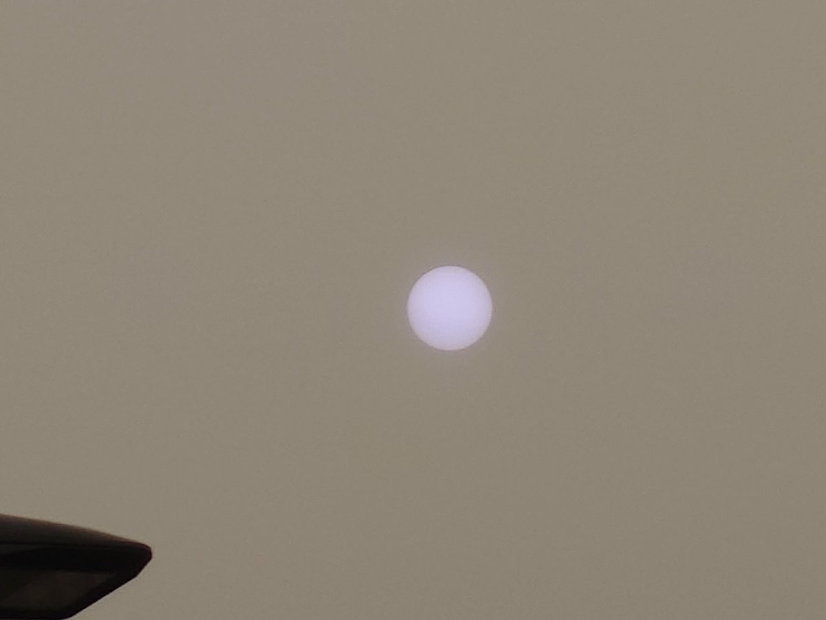 James Rowley-Hill tweet media