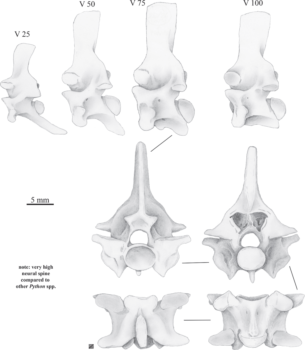 Dr. Georgios Georgalis tweet media