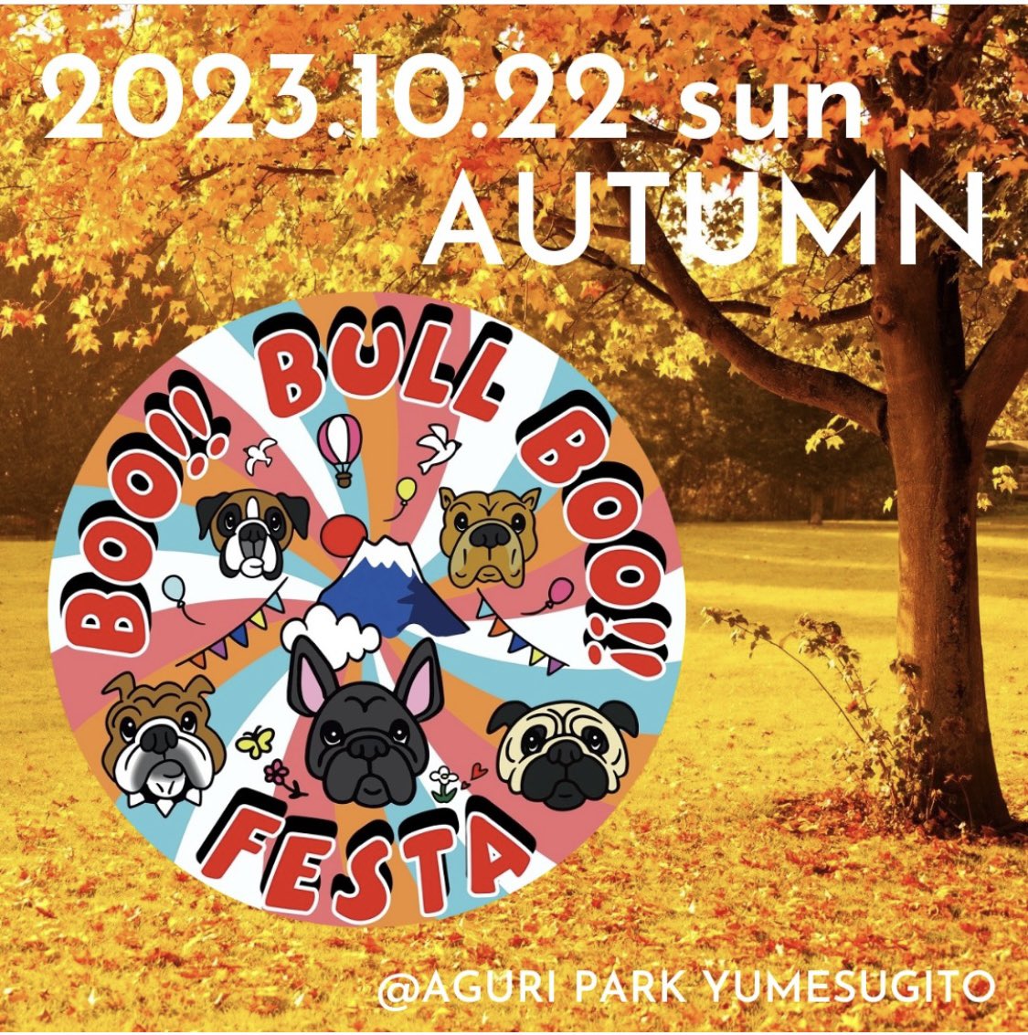 yu_wankt's tweet photo. 【10月出店予定】
🔸10月7日(土)・8日(日)
キッチンカーグルメ選手権2023
（100台程のキッチンカーが出店‼︎美味しいキッチンカーを決める投票🗳️やキッズも楽しめるイベント盛り沢山）

🔸10月22日(日)
BOO!!BULL BOO!!FESTA
（鼻ぺちゃワンコ🐶が大集合‼︎ワンコのショップも沢山出店します‼︎） https://t.co/aKcCdsVthL