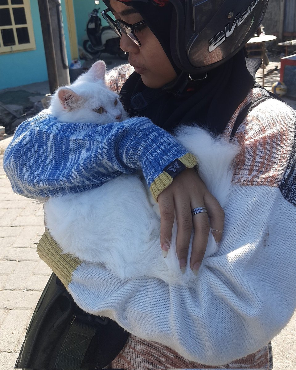 shmolpotato's tweet photo. setelah 2 hari 2 malam tidak tenang pikir ini bocah, tidur nda enak, nangis, mimpi jelek terus, sering blank tb2, but...
finally, my baby is back 🥲 https://t.co/Aj641kfZhx