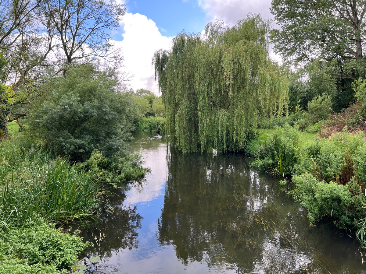 New publication exploring water quality nutrient credits: 'Export Coefficient Modelling of Nutrient Neutrality to Protect Aquatic Habitats in the River Wensum Catchment, UK' mdpi.com/2498504 #mdpienvironments via @Environ_MDPI