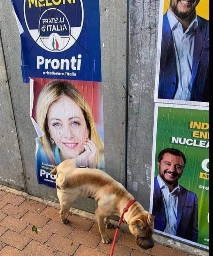 MartylaMatta's tweet photo. Ops.......
#Buongiorno https://t.co/q5bg8nykk5