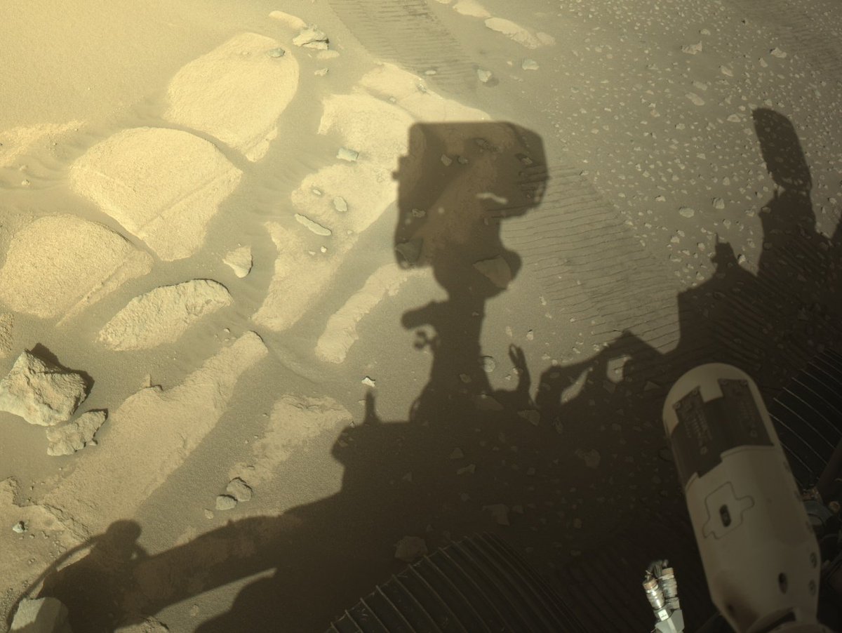 fredHeller1's tweet photo. Eyeing paver
Looking for another rock core drill site sol 925
#shadowfie
Ten meters further though not in a straight line ;)
Same unit as wandu wall, carbonate unit
#samplingmars #perseverancerover https://t.co/LBmBiKZlW5