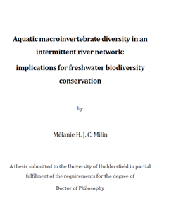 Huge congratulations to Dr <a href="/MelanieMilin/">Mélanie Milin</a>!!! An outstanding PhD thesis on "Aquatic macroinvertebrate diversity in an intermittent river network". Been a privilege supervising you. A great PhD student, colleague, cat sitter &amp; friend <a href="/hudgeog/">@hudgeog</a> <a href="/Mhill846/">Matt Hill</a> @Ian_Maddock