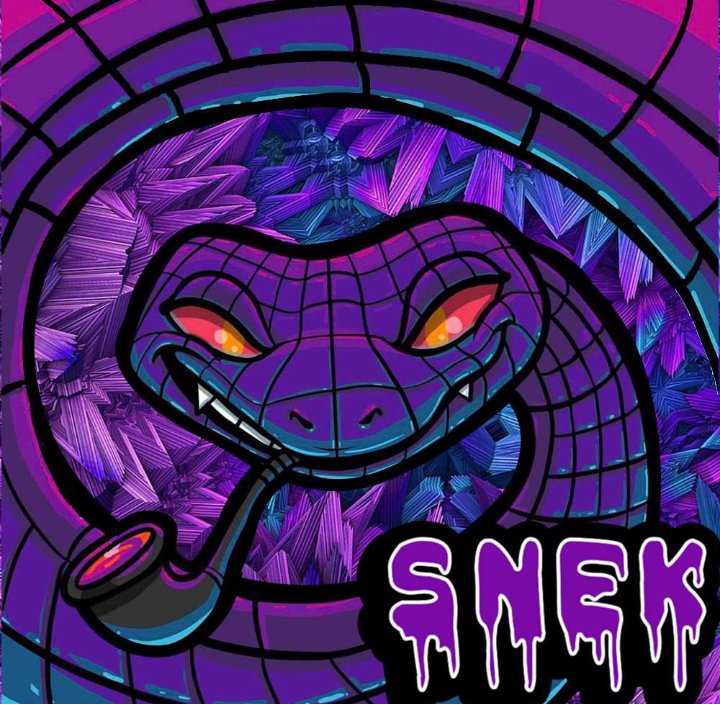 CryptoMaimi's tweet photo. @pcastagnoli #memecoin $SNEKE of @snekonethereum and token of $SNEKE ecosystem $PAL are hottest coins right now
@snekonethereum $PAL #Crypto #UNISWAP https://t.co/xHNnKB9IAn