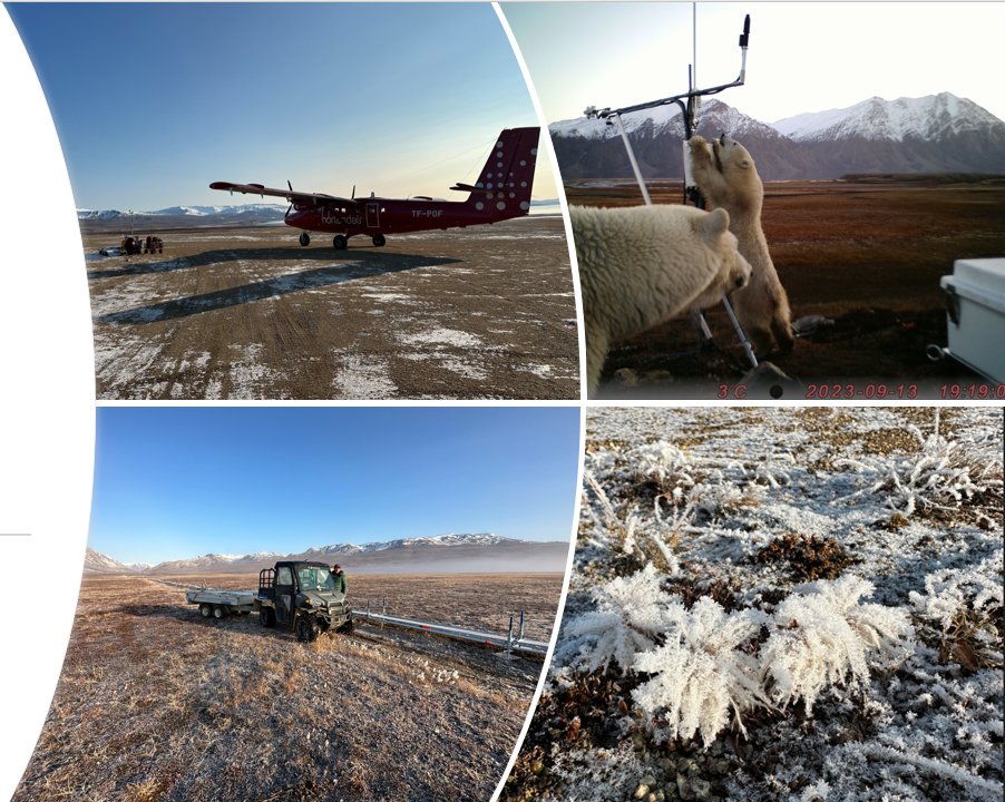 Zackenberg Research Station tweet media