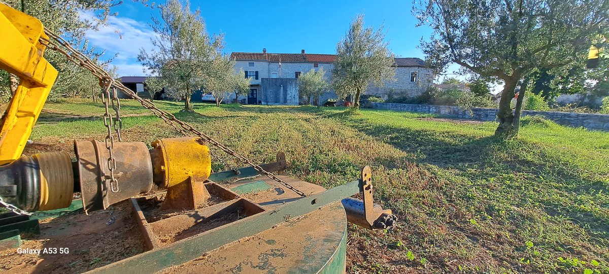 BiliniEvoo's tweet photo. A brand new new cutting set mounted on our "ME-GA Ing" roto #mulcher. Cuts like a razor!
#mowing #preharvest #rakovci #istria https://t.co/9F8SYX9A9M