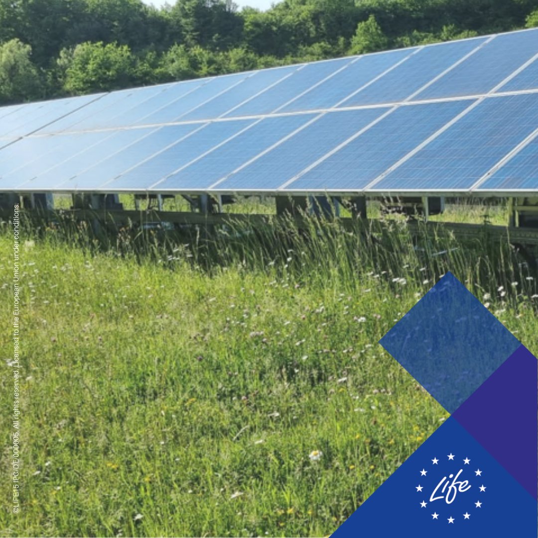 This #LIFEProject campaigns for a clean   #EnergyTransition⚡

#LIFEAmplifier <a href="/ZENAPAlife/">ZENAPA</a> contributes to a   #ClimateNeutralEU by raising awareness about the benefits of solar panels!☀️

Read now👉 europa.eu/!8fvjbM