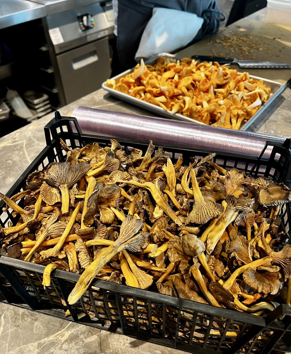 Fruit Basket Direct tweet media