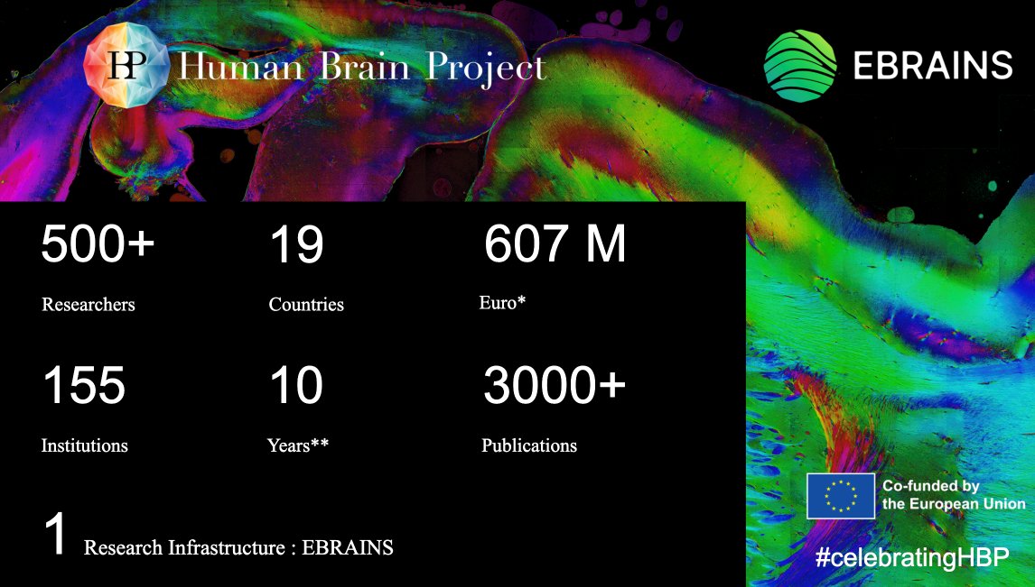 UiO - Det medisinske fakultet (@unioslo_med) on Twitter photo After 10 years, the <a href="/EU_Commission/">European Commission</a> Flagship
<a href="/HumanBrainProj/">Human Brain Project</a> comes to an end. We’re very proud to have been a partner of the project through
@ebrains_eu lead by <a href="/JanBjaalie/">Jan Bjaalie</a> #celebratingHB #neuroscience #research #europe #collaboration <a href="/EU_Brain/">European Brain Council</a> <a href="/UniOslo/">Universitetet i Oslo</a>
humanbrainproject.eu/en/about-hbp/h… After 10 years, the <a href="/EU_Commission/">European Commission</a> Flagship
<a href="/HumanBrainProj/">Human Brain Project</a> comes to an end. We’re very proud to have been a partner of the project through
@ebrains_eu lead by <a href="/JanBjaalie/">Jan Bjaalie</a> #celebratingHB #neuroscience #research #europe #collaboration <a href="/EU_Brain/">European Brain Council</a> <a href="/UniOslo/">Universitetet i Oslo</a>
humanbrainproject.eu/en/about-hbp/h…