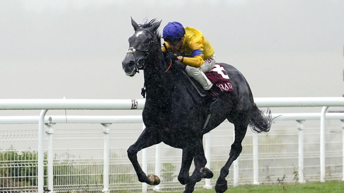 ashsh's tweet photo. #QPAT Saturday Final Declarations:
#Cadran: 6
#Royallieu: 14
#Chaudenay (G2): 9
#DanielWildenstein (G2): 10
#Dollar (G2): 9
All Runners π: https://t.co/7xcQMwqaNx
π·: @SkySportsRacing https://t.co/zn7RKAgHyx