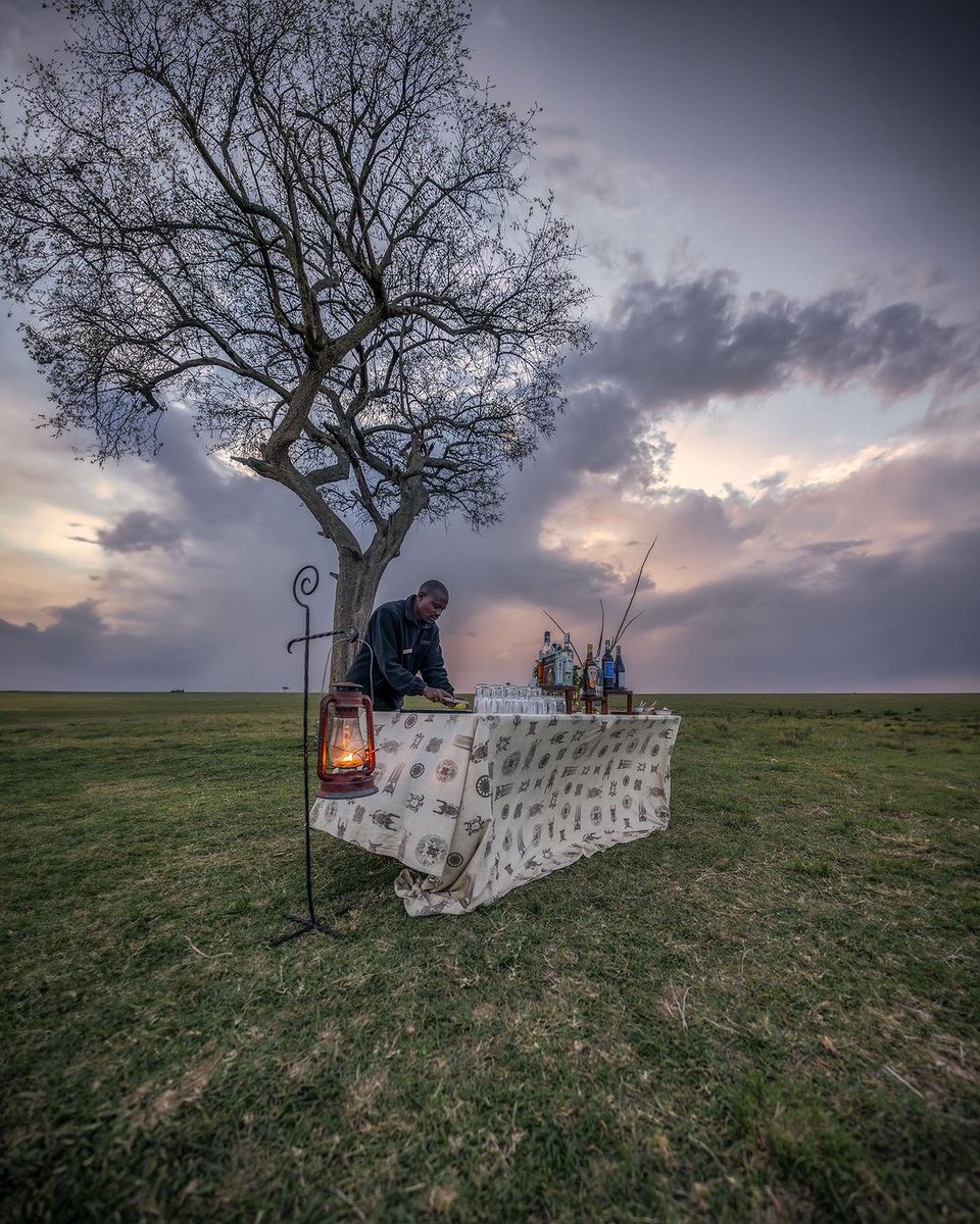 Elephant Pepper Camp tweet media