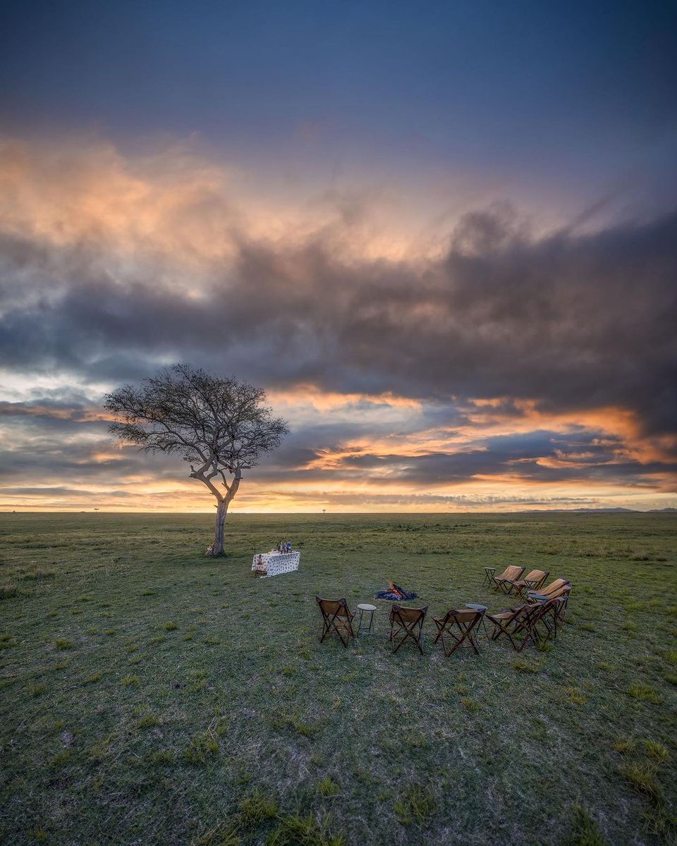 Elephant Pepper Camp tweet media