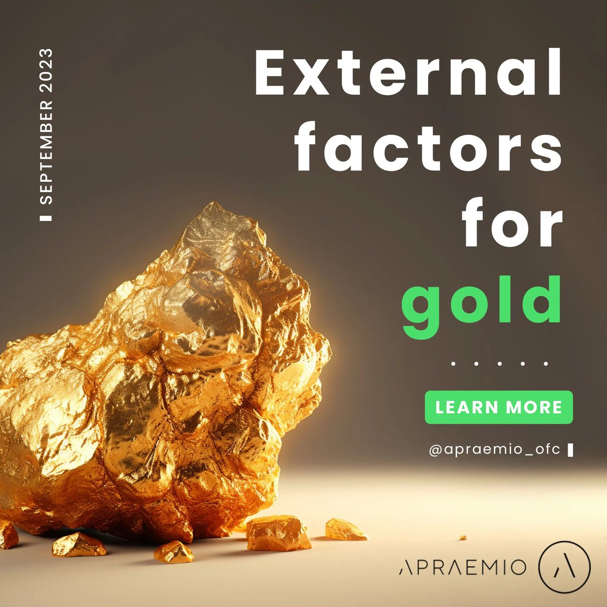 Due to many external factors such as the COVID-19 Pandemic, low energy reserves, and global inflation rates reaching highs of over 7%; investors are currently looking to hedge against inflation. 

This is why the Gold industry is thriving and performing strong throughout 2023.