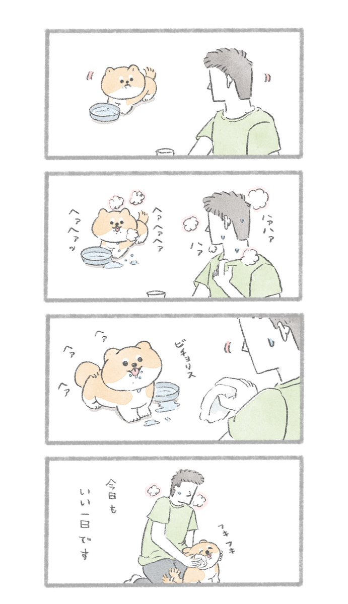 満足げなおいぬは表情が違う #こんにちはいぬです