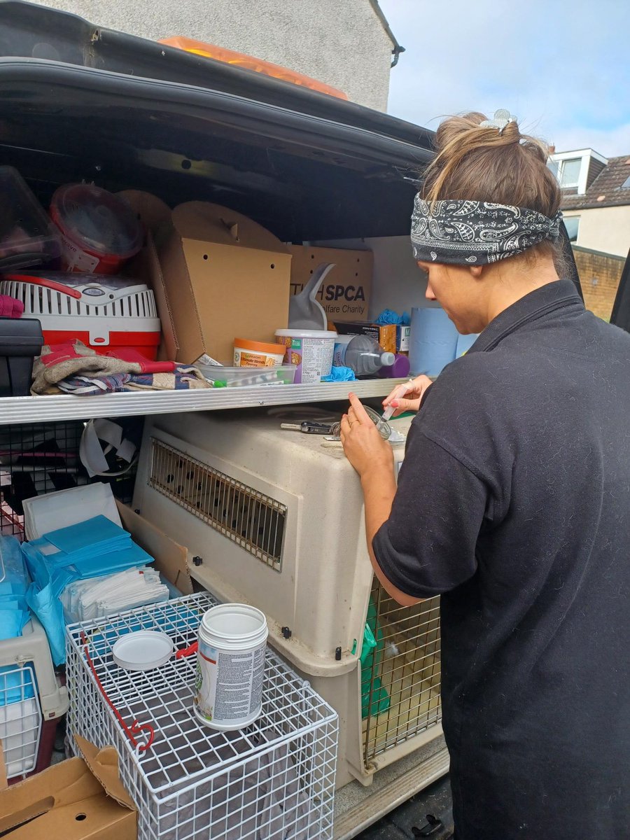 Timeline cleanse! Lovely day spent w/ animal rescue colleague seeing the huge difference <a href="/ScottishSPCA/">Scottish SPCA 🐾</a> make to sick &amp; injured wildlife across Scotland every day! All off to our wildlife centre to recuperate.