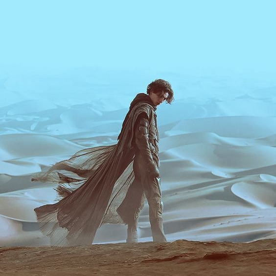 Guns N' Commerce tweet media