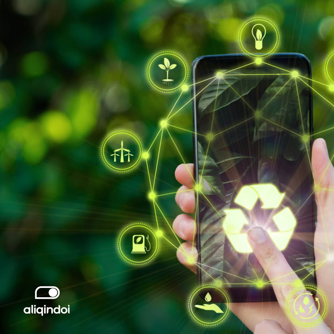 Aliqindoi tweet media