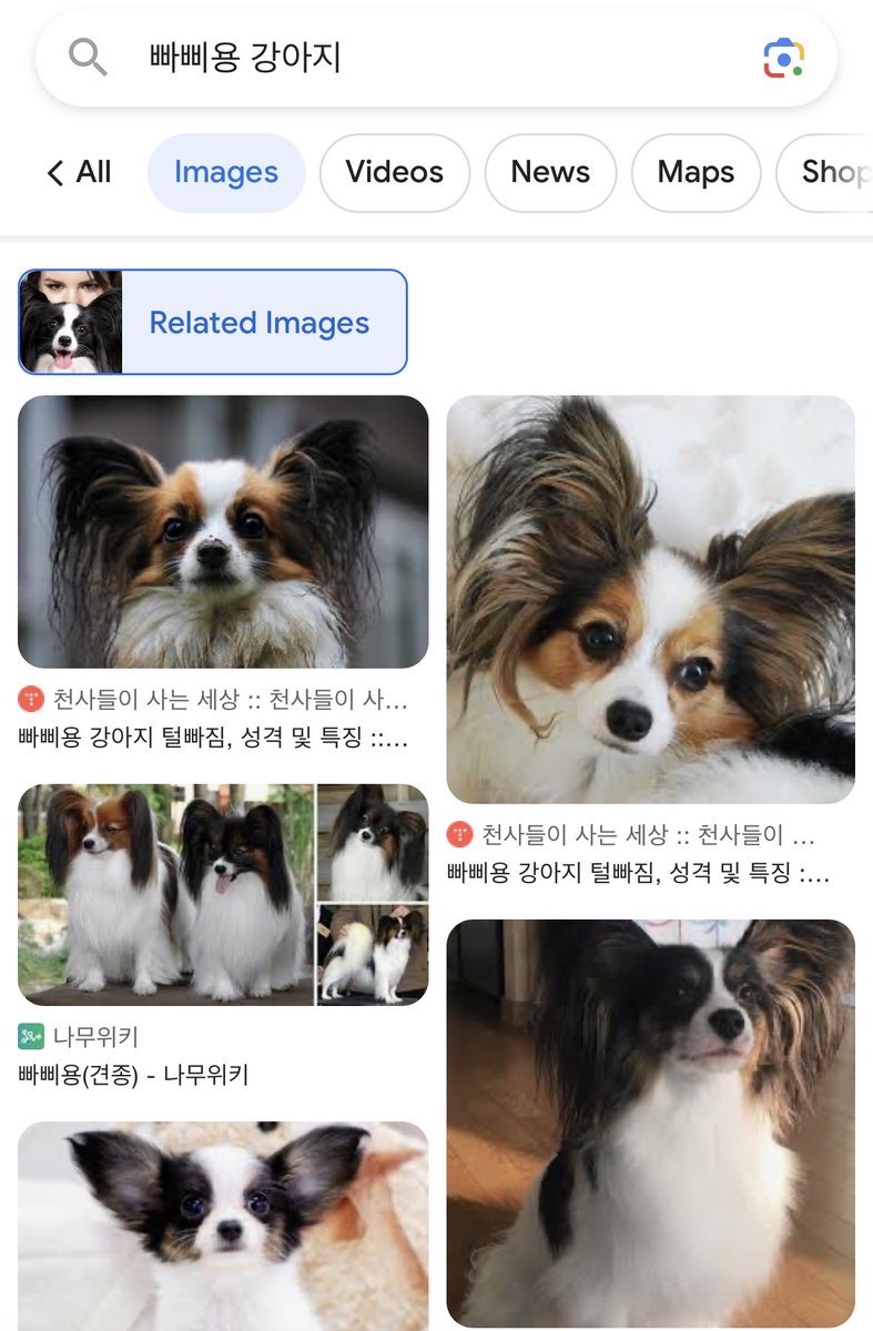 yeonqibbl's tweet photo. 🐶💭
2023/09/28 05:42 pm KST https://t.co/sR6Z54vaiR