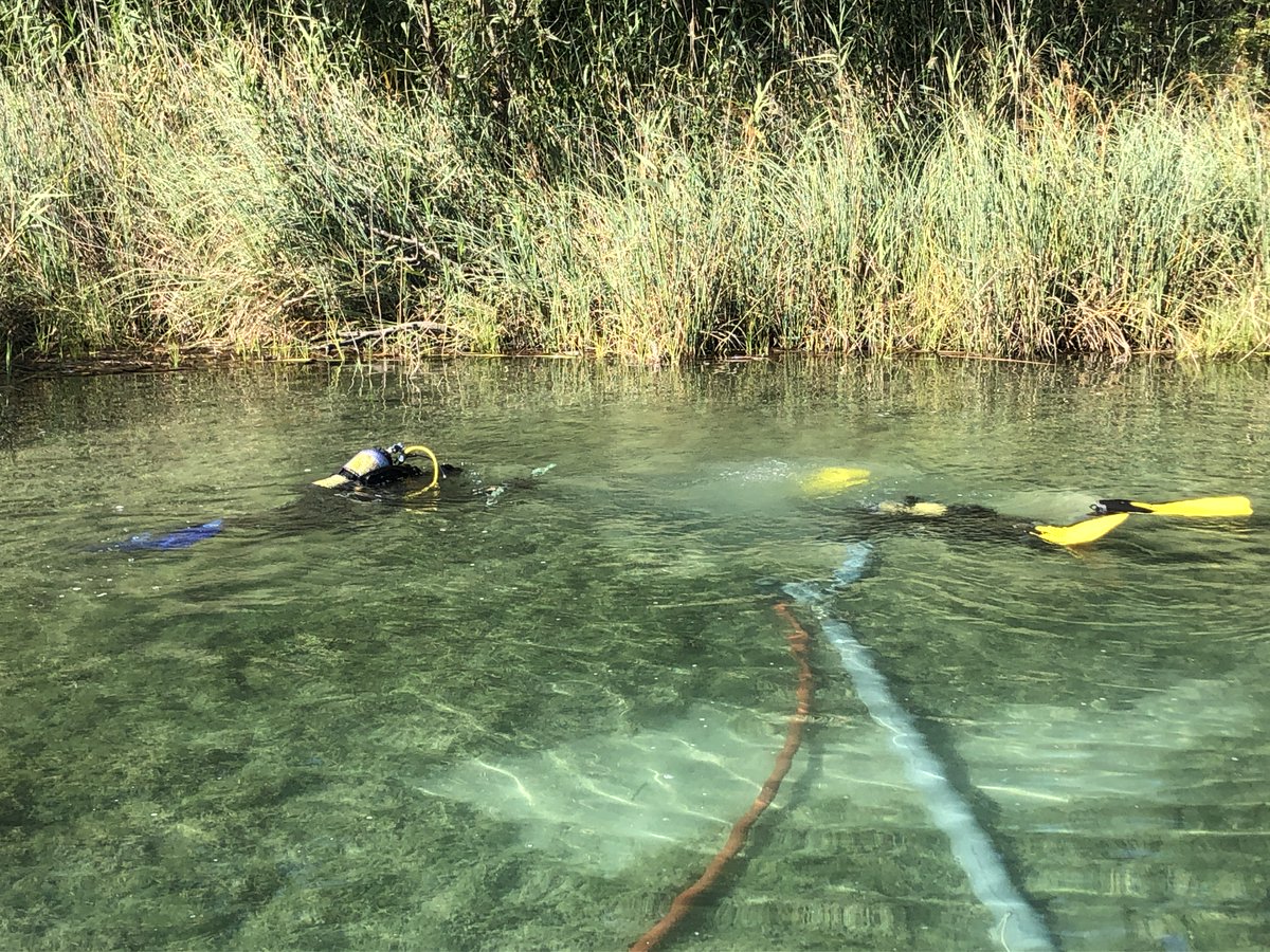 🟠 Recuperados en #LaDraga (Banyoles) fragmentos de #madera de las estructuras de las #cabañas #neolíticas ¿Se aportará luz a cómo eran y cómo se construían estas construcciones? 💡 💫0
