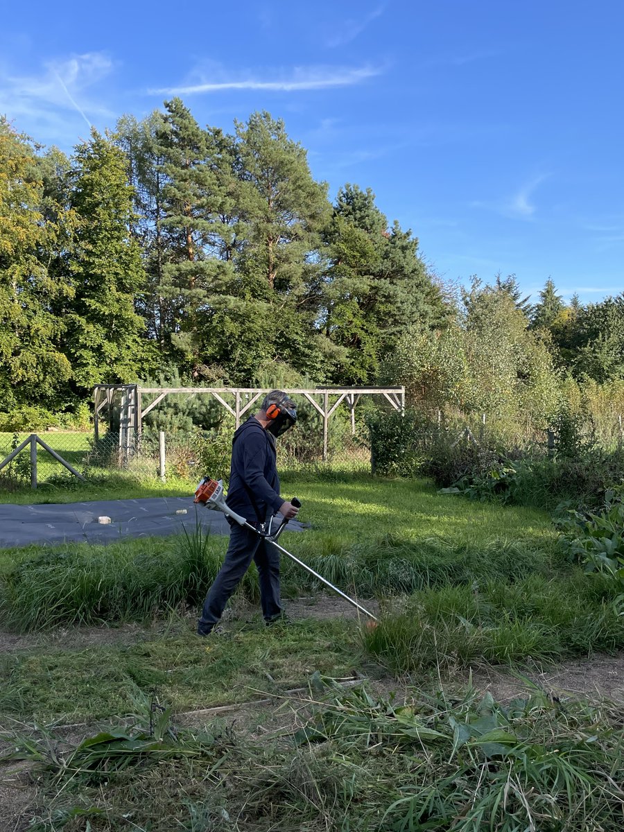 End of summer… time to mow all plots of the #EXClAvE common garden. @BExplo_de @BExplo_research @Bio_UMR @Uni_MR