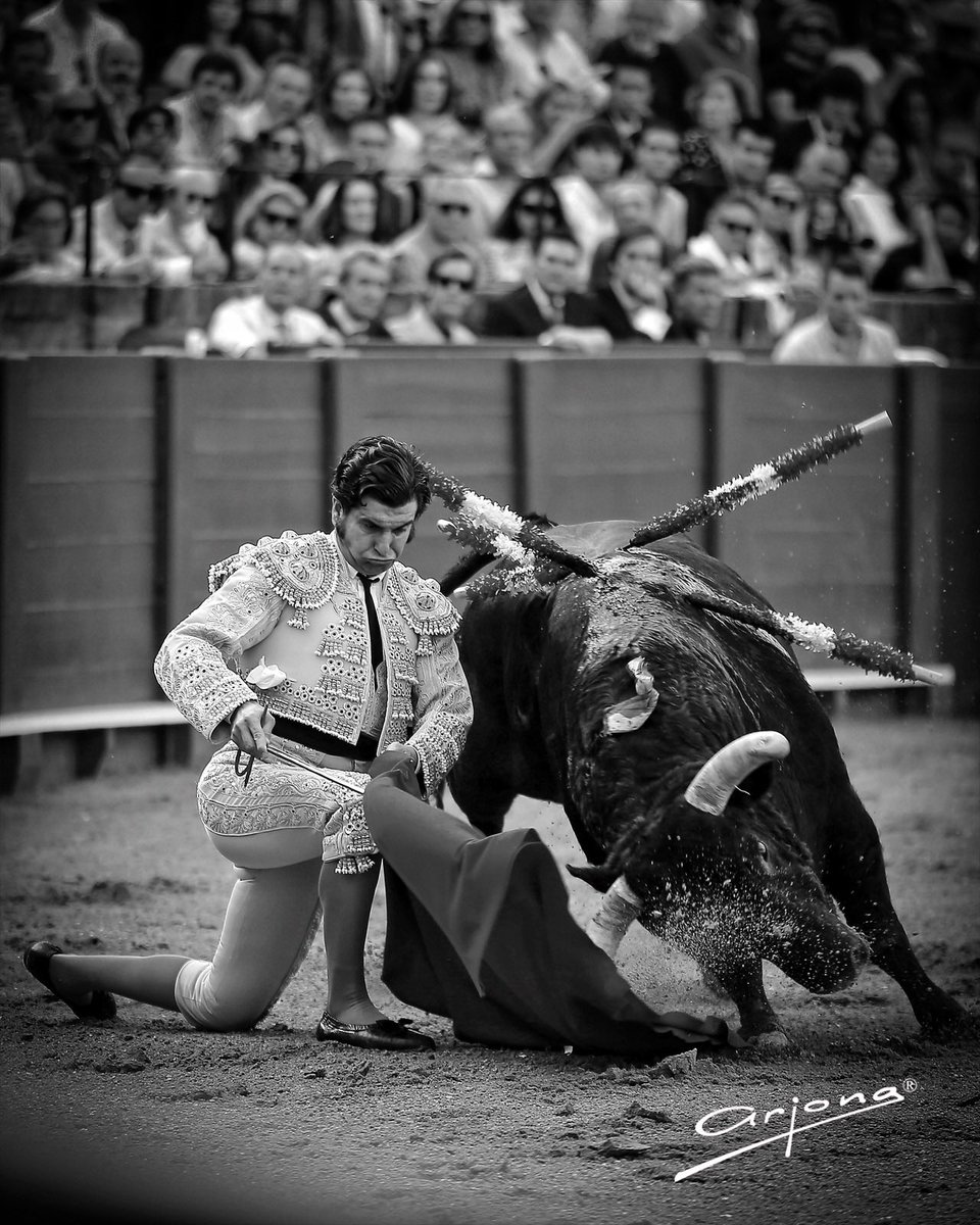 Firma_Arjona's tweet photo. Morante reaparece mañana en Sevilla https://t.co/idNFZkgepS
