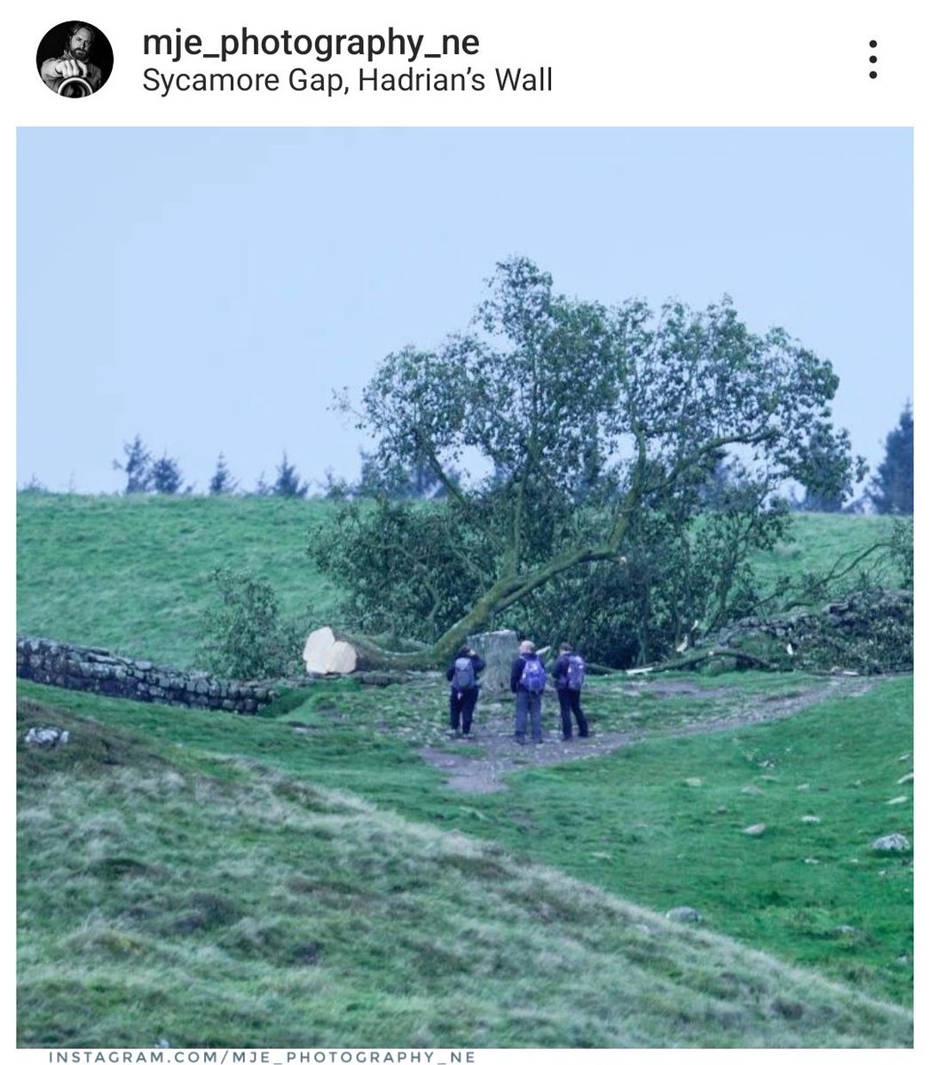 NorthEastTweets's tweet photo. 😡😢😰

"Sycamore Gap is no more. The tree has been cut down" -Ian. https://t.co/o3PzejcaA2