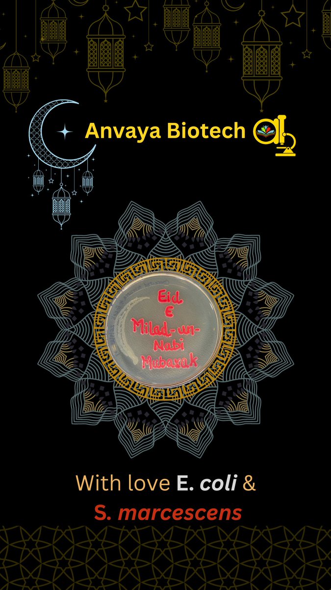 'Spreading love, brotherhood, kindness, and wisdom on Eid Milad un Nabi. 🧬🌟 . Eid Mubarak!
#EidMiladunNabi #MicroscopicBlessings #S.Marcescens #Eidwishes #Eudmubarak 
#let'sbepractical #anvayabiotech