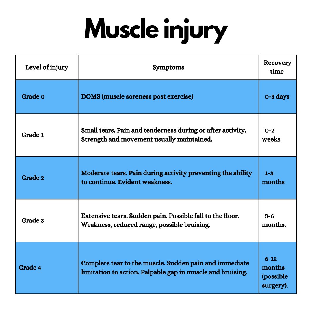 sheffieldphysio tweet media