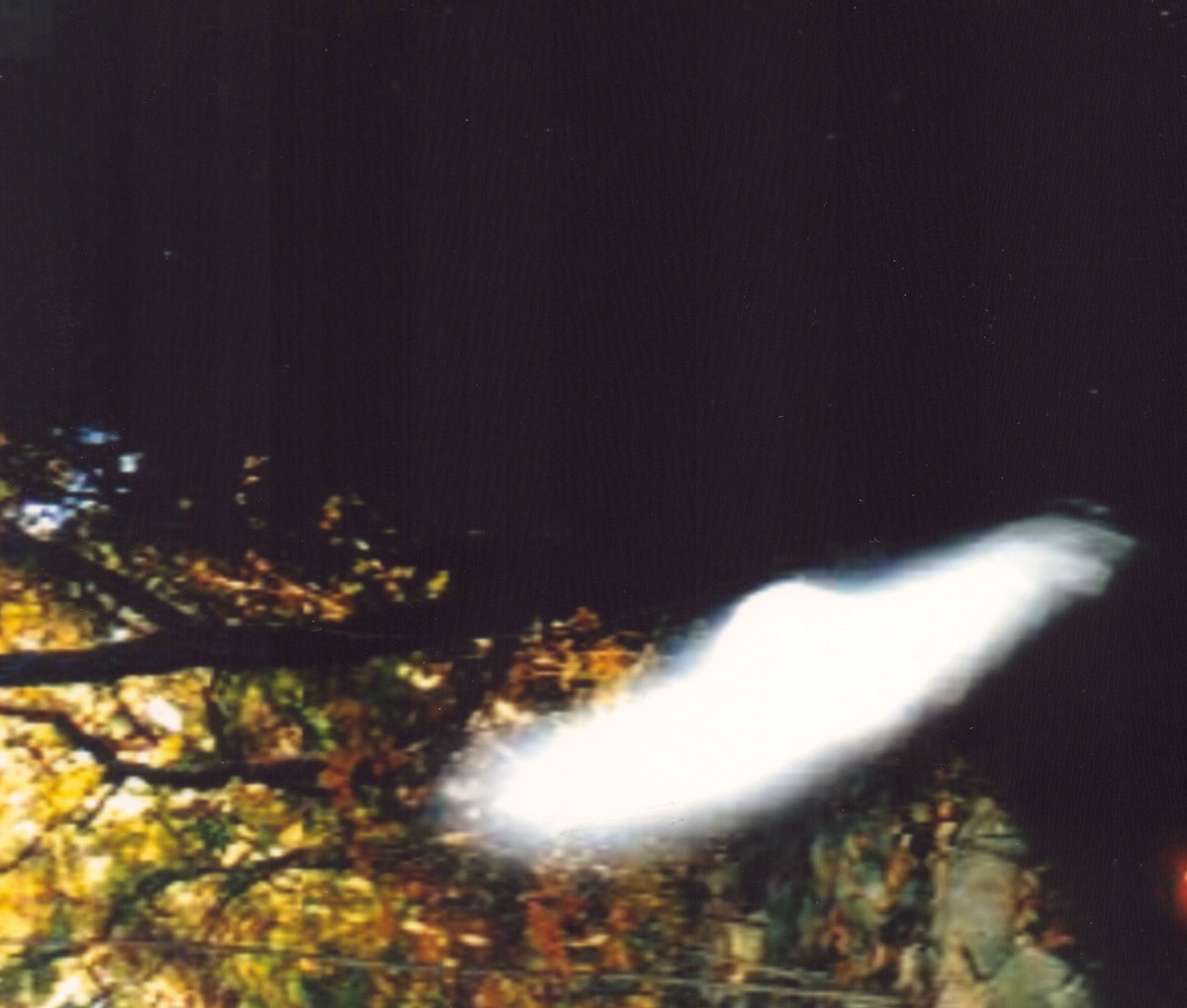 대한민국은 우주의 주인이신 하나님께서 친히 주재하시고 다스리는 나라입니다.
wuryhana@gmail.com