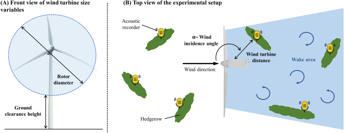 🚨New research paper on🦇 & wind turbines led by @CamilleLerouxx! It reveals that🦇activity at the ground is affected by different wind turbine features depending on their time spend at height. Free access until November, 10: doi.org/10.1016/j.jenv…