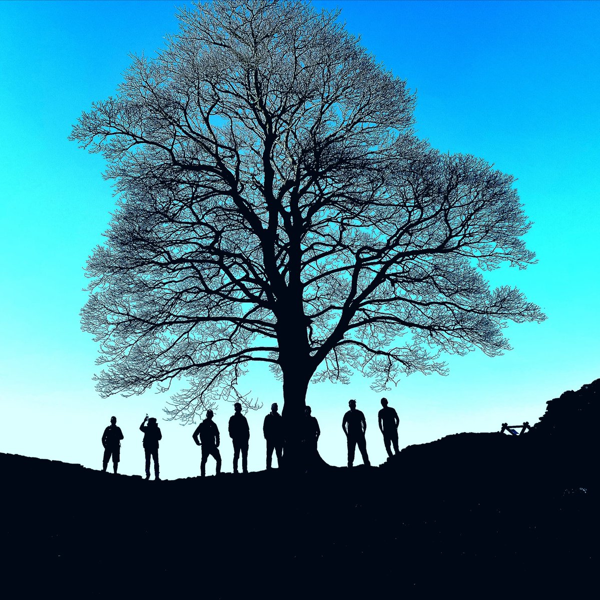 bushontheradio's tweet photo. It looks like someone has cut down the iconic Sycamore Gap Tree in Northumberland, if true it's a total disgrace. Here's us posing by it on @adrianhieatt's birthday RIP TREE 🌳 https://t.co/VM07E5Fe1X