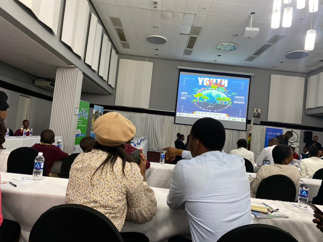 Green Zimbabwe tweet media