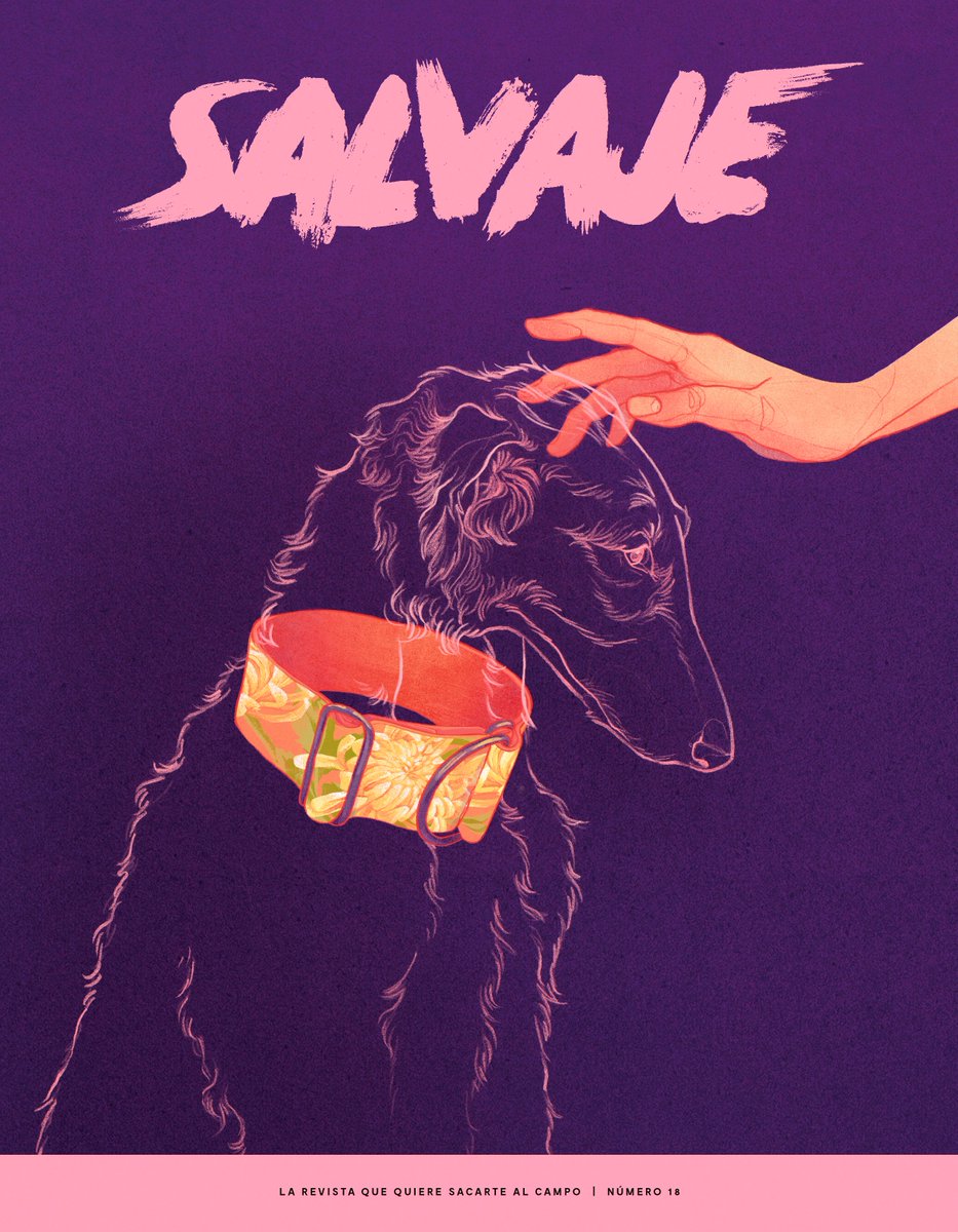 Salvaje tweet media