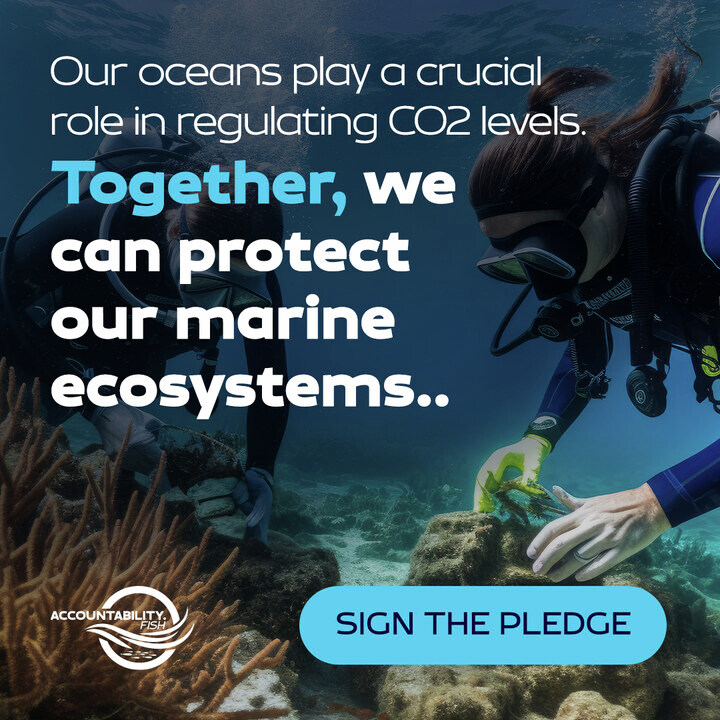 #RFMO secrecy and outdated #FisheriesManagement practices endanger the health of our oceans. 🌊

It's time to challenge their authority and call for greater transparency.

Sign our pledge today! chng.it/YhwMYvSVWs

#FisheriesTransparency #BlueTransformation