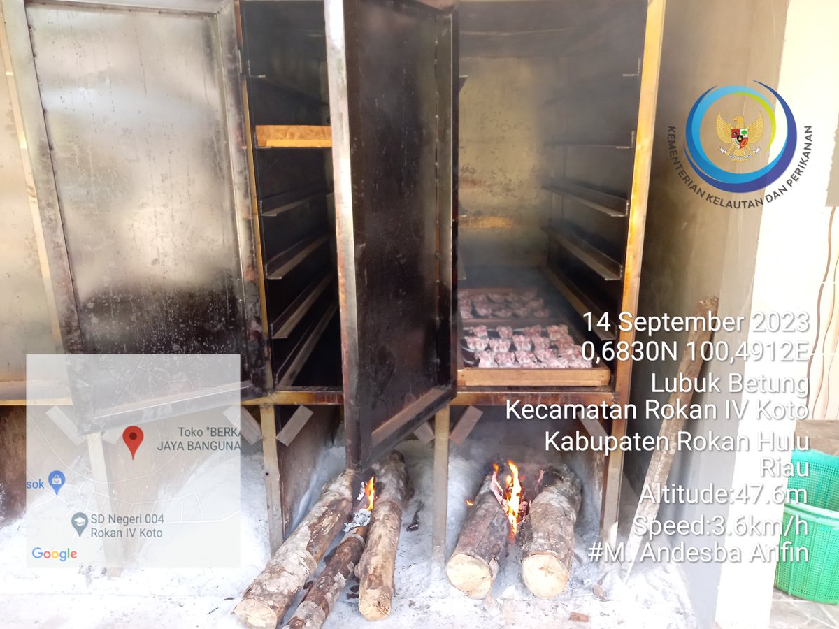 AndesThp06's tweet photo. Kamis (14/9) M. Andesba Arifin, Luhkan Rokan Hulu, melaporkan produksi ikan Salai lele Poklahsar Salai Lele Luberti, Ds Lubuk Bendahara Timur bln September 2023 sebesar 75 kg, harga jual 80000/kg #GiatLuhkanSatminkalMedan #Rohul #Produksi@bpppmedan_brsdm,
@puslatluhkp
, @brsdm_kp https://t.co/91nRa7wf8F