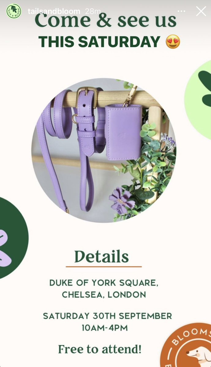 tailsandbloom's tweet photo. You can come & meet us in the fur ๐ถ at our next doggy event this Saturday ๐พ๐๐๐ฉท๐งก๐ #dogs
#Chelsea #dogsoftwitter #pets #puppy #event #dogmum #kingsroad #dogdads #love #dogwalkers #furryfriend
@TheGoodDogGuide @E4Chelsea @JoinWildPack @ToffTalks https://t.co/HZ5N4qb5G8