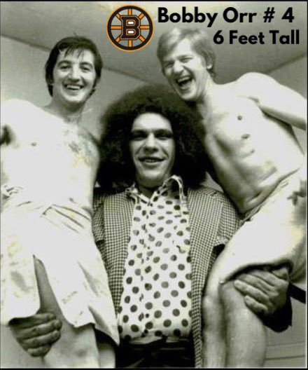 SFM Green Owl tweet media