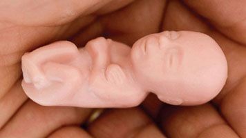 Pro-abortion college students swallow plastic fetal models from pro-life display buff.ly/3ZzD4er