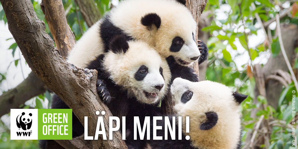 Pohjantähti Keskinäinen Vakuutusyhtiö läpäisi #WWFGreenOffice ensitarkastuksensa, paljon onnea! 
Ympäristö kiittää erityisesti, että:
🍃Jätteiden lajittelu on selkeää
🍃Ympäristövastuusta viestitään työntekijöille suunnitelmallisesti
🍃Ympäristökriteerit on huomioitu hankinnoissa