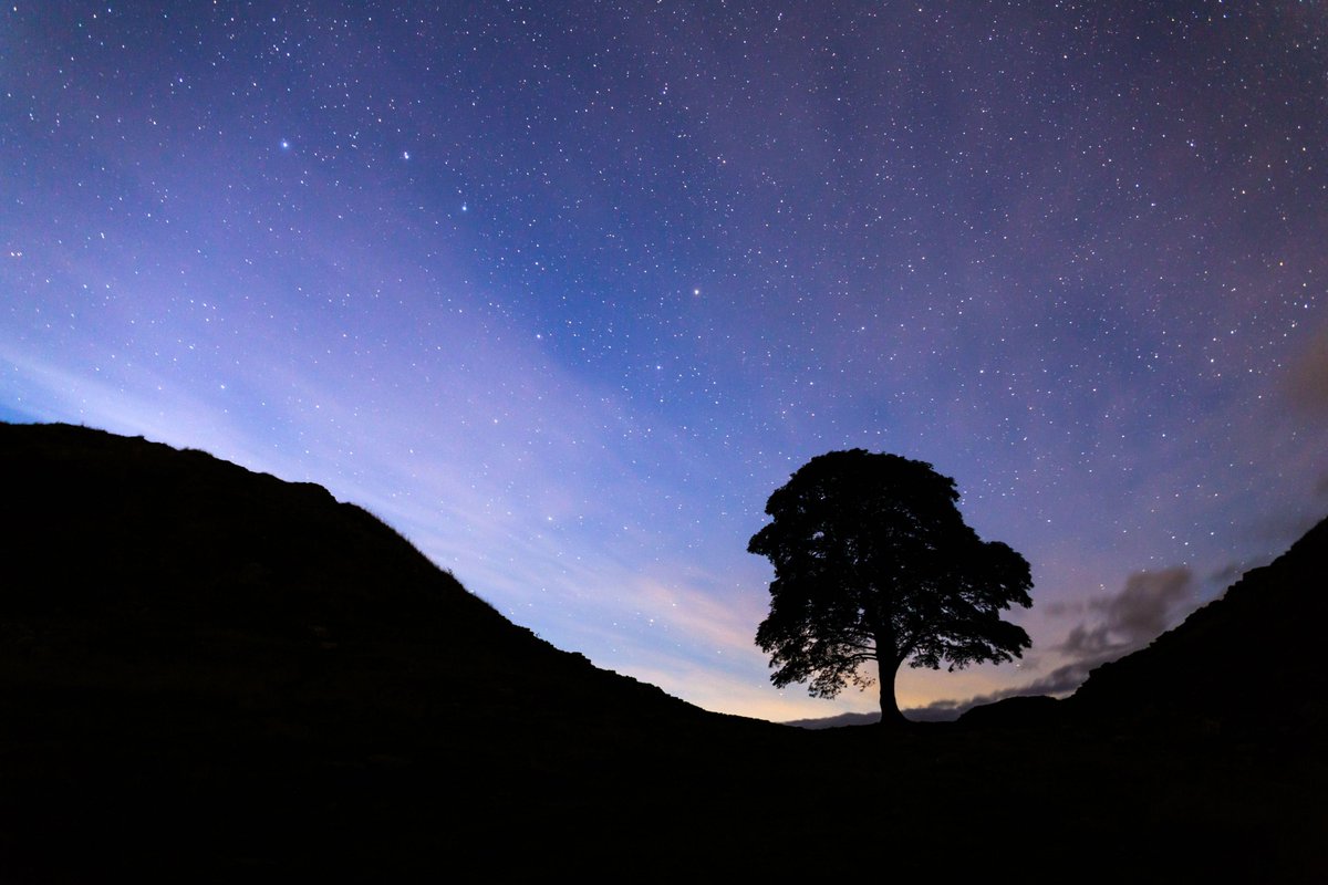 A Northumbria Police spokesperson said: “We can confirm an investigation has been launched following damage to the Sycamore Gap Tree in Northumberland. Enquiries are ongoing to establish whether any criminal offences have been committed.”