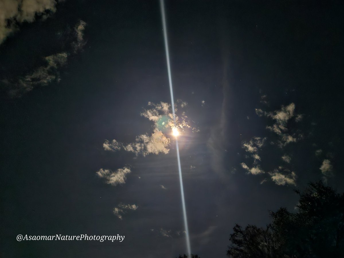 Some pics of the #moon last night. Can't wait to see the #harvestmoon #supermoon tonight! #lakelouisastatepark #floridastateparks #amateurphotographer #naturephotography #nightsky #nightphotography