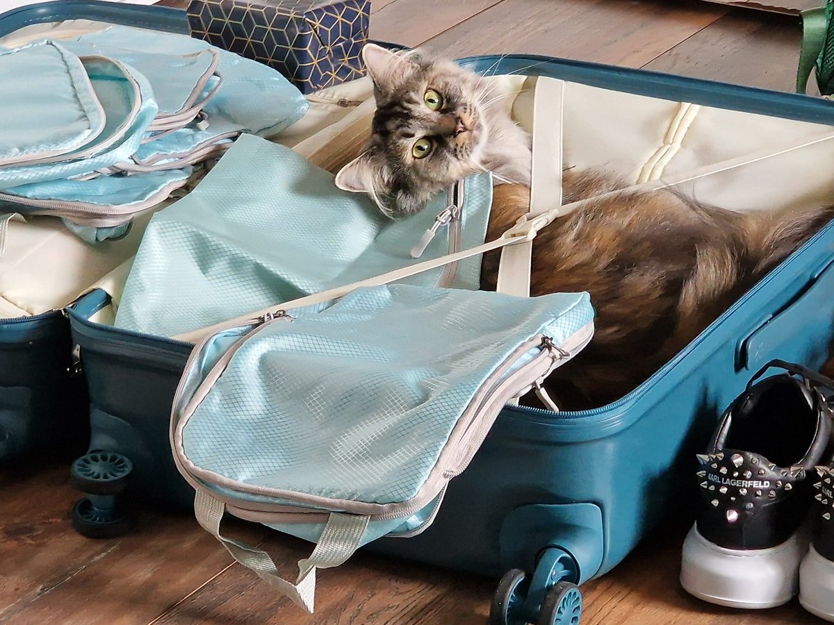 Nathalie Leenders tweet media