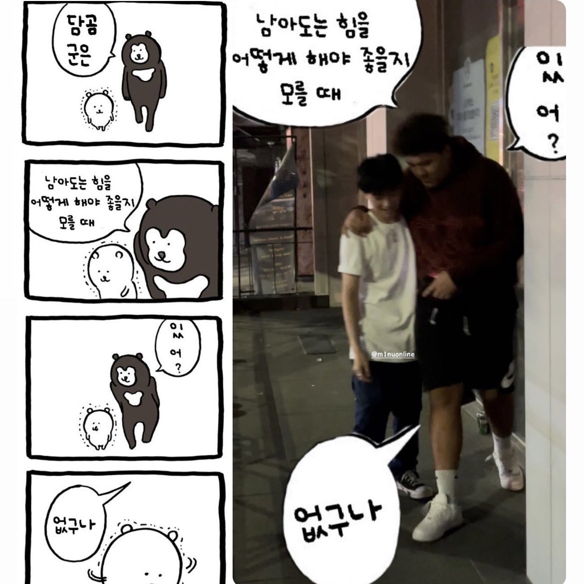 폴로가 큰거임